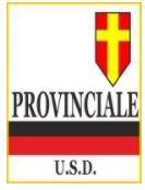 logo Provinciale