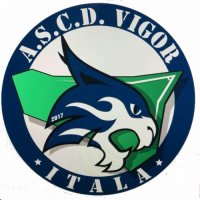 logo Vigor Itala